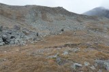 Giuldenstadt Redstart habitat at 2700m Photo by Dobromir Domuschiev